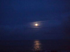 沖原海岸から昇る満月と月の道